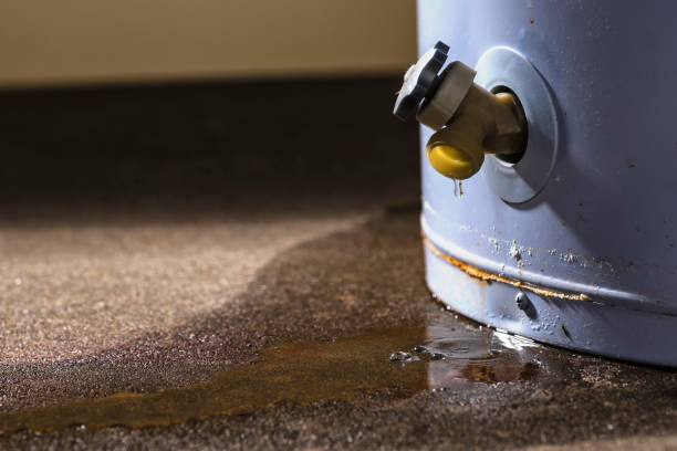 Best Water damage restoration near me  in Elkridge, MD