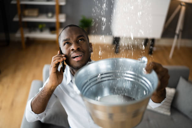 Best Ceiling water damage repair  in Elkridge, MD