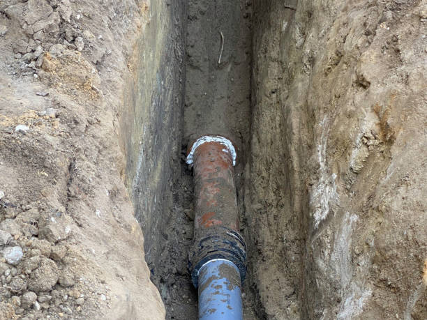 Best Flood restoration services  in Elkridge, MD