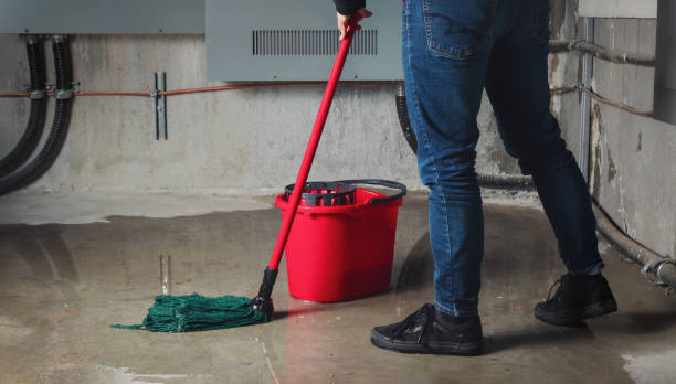 Best Basement water damage restoration  in Elkridge, MD