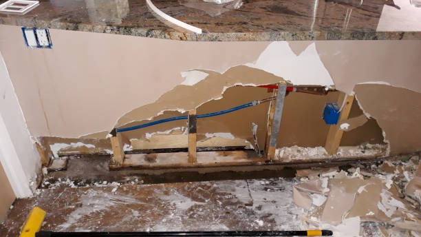 Best Flood damage cleanup  in Elkridge, MD