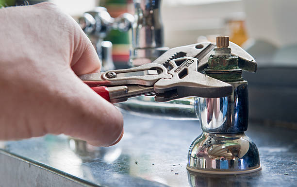 Best Flooded house restoration  in Elkridge, MD